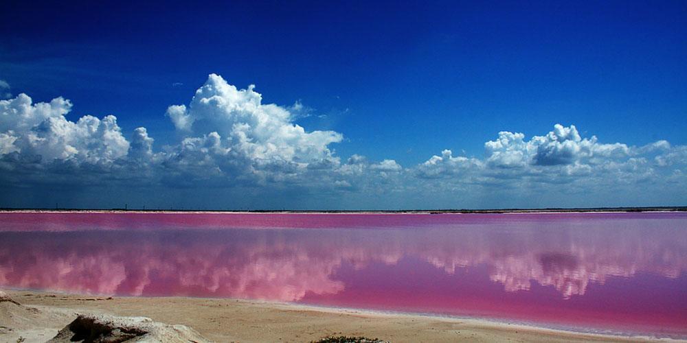 Casa Laguna Lagartos Hotel Río Lagartos Kültér fotó