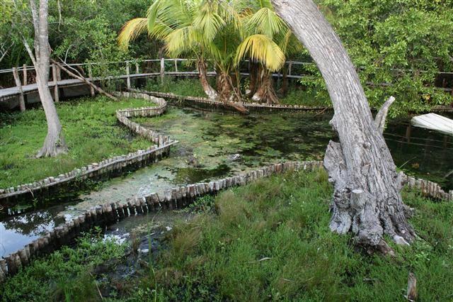 Casa Laguna Lagartos Hotel Río Lagartos Kültér fotó